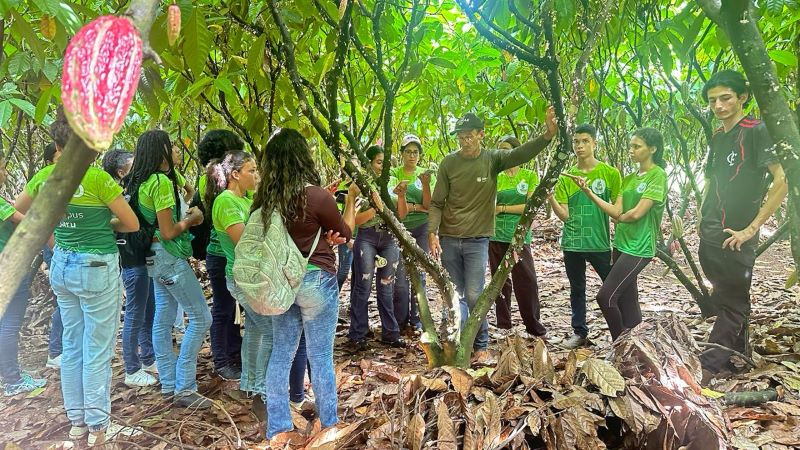 Estudantes do Curso Técnico em Alimentos do Campus Jaru realizam visita técnica em propriedade rural produtora de cacau
