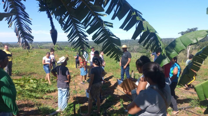 Campus Vilhena: iniciado curso de fruticultura no Assentamento Águas Claras