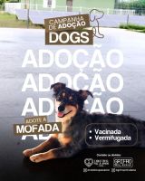 Mofada