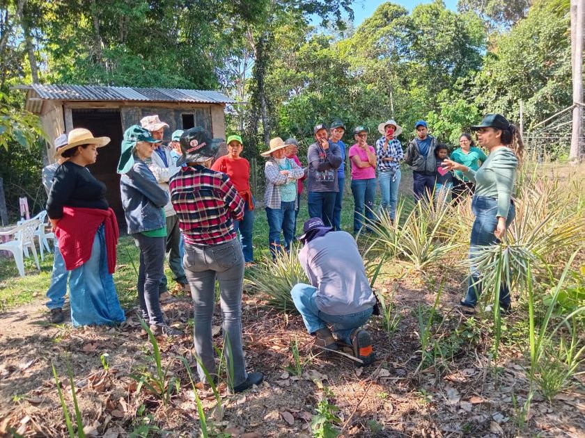 Aulas Práticas do curso de Fruticultura Transformam Propriedades de Agricultores Familiares