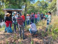 Fruticultura-Curso_em_Vilhena_6