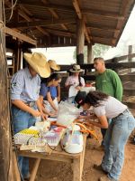 estudantes-neppa-colorado-manejo-bovinos