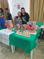 Colorado-Curricularização-projeto_24