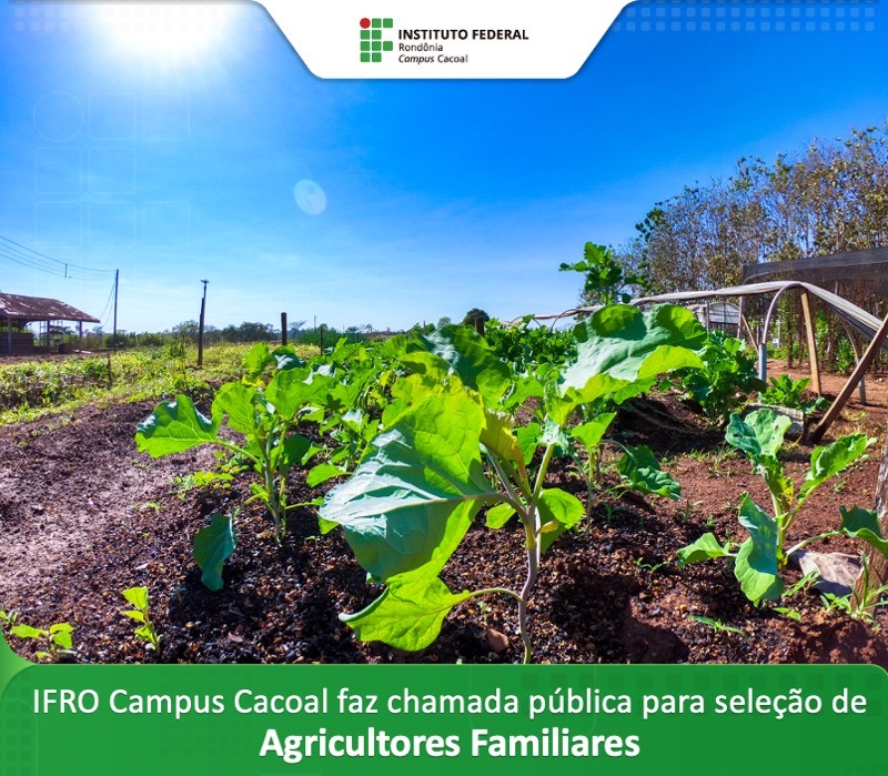 Campus Cacoal abre chamada pública para aquisição de alimentos de agricultores familiares