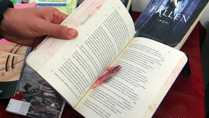 Campanha da Biblioteca Clarice Lispector aborda cuidado no uso dos livros