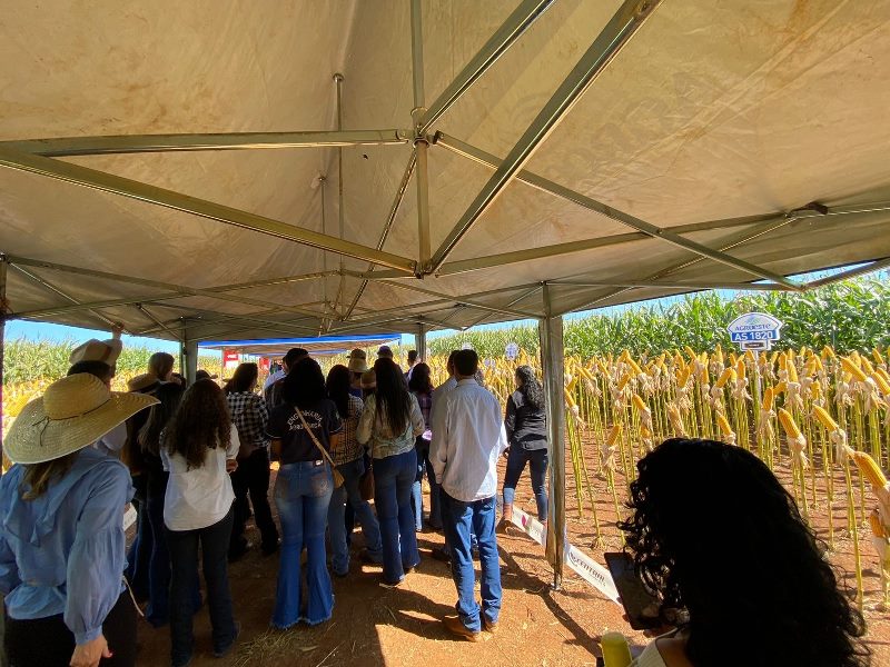 Estudantes do Campus Colorado do Oeste participam em Cerejeiras do 10º Tour Milho Safrinha