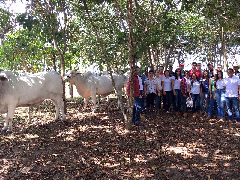  A ação envolveu os alunos do curso de Bacharel em Zootecnia, servidores da instituição e ocorreu em uma propriedade rural que atua na criação de gado e melhoramento genético