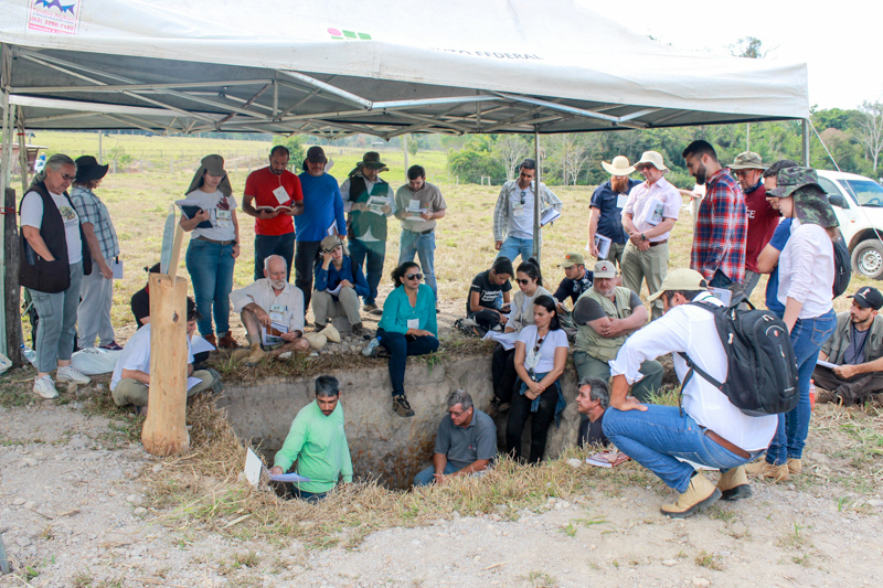 Durante a visita, realizada no dia 06 de agosto, os participantes foram até uma trincheira onde puderam observar a estrutura do solo naquela área, coletar amostras e debater a forma mais apropriada de classificação daquele solo