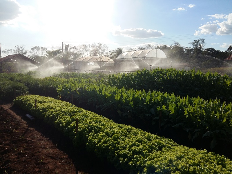O sistema de irrigação implantado no Campus Cacoal permite a cobertura de até um hectare de área