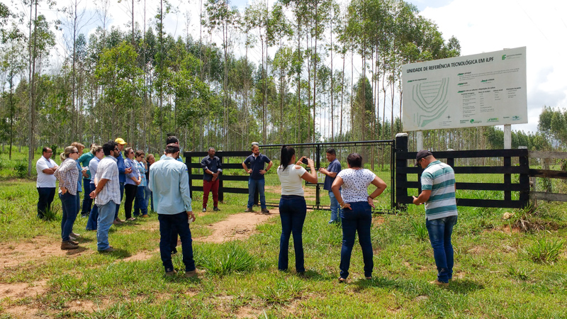IFRO Colorado do Oeste discute ações de pesquisa e extensão com órgãos do Cone Sul de Rondônia