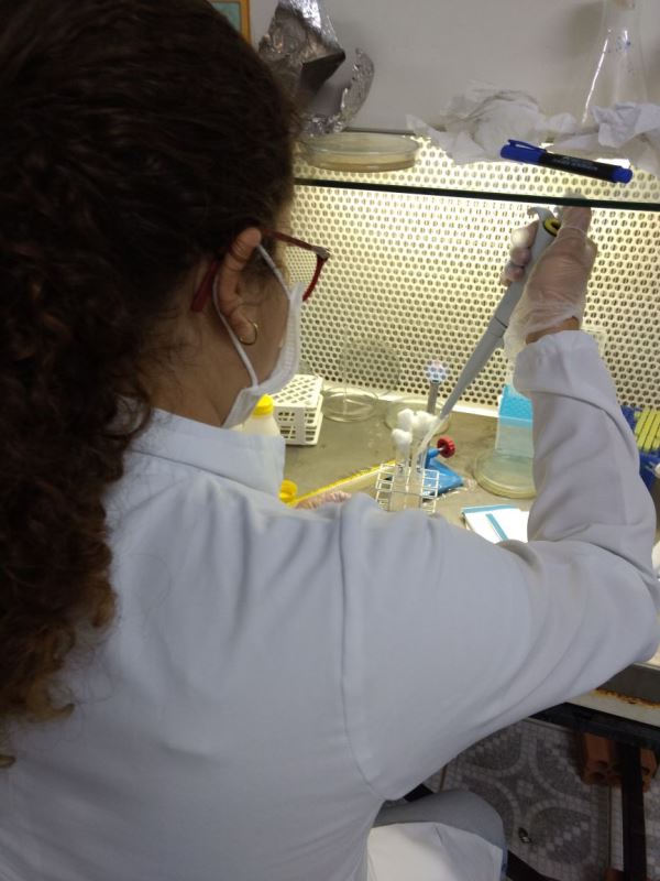 Campus Colorado do Oeste tem pesquisas em Biotecnologias de Alimentos divulgadas em âmbito internacional