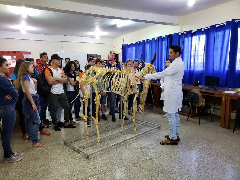  Acadêmicos da graduação prepararam e montaram esqueletos e peças anatômicas, além de realizarem exposições dos materiais produzidos em eventos e escolas do município de Jaru