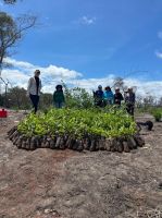 Aula_de_Campo_-_Pimenteiras_1