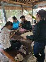Aula_de_Campo_-_Pimenteiras_11