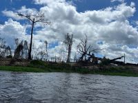 Aula_de_Campo_-_Pimenteiras_30