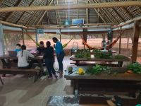 Aula_de_Campo_-_Pimenteiras_8