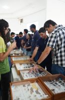 Ciência_em_Foco_22