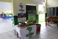 IFRO_Guajará_3