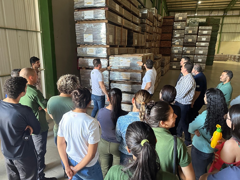 Visita técnica proporciona aprendizagem do beneficiamento à distribuição de produtos da madeira