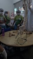 Visita_unir_13