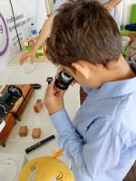 O_projeto_de_Extensão_microscopicamente_espécies_florestais_02