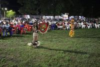IMG_6347_1