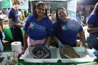 Guajará-Exposição_9