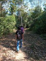 Caminho_para_a_comunidade_Cassupá