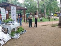 Evento-CurricularizaçãoEnsino_5