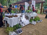 Evento-CurricularizaçãoEnsino_6