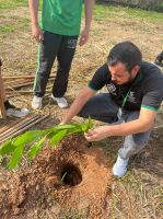 Técnicos_explicaram_o_acondicionamento_de_mudas