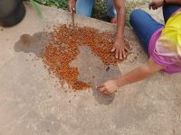 Mulher_de_Fibra_-_mulheres_indígenas_Ikolen_Gavião_9