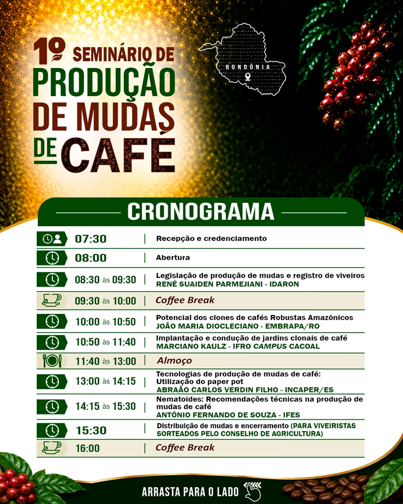 CRONOGRAMA