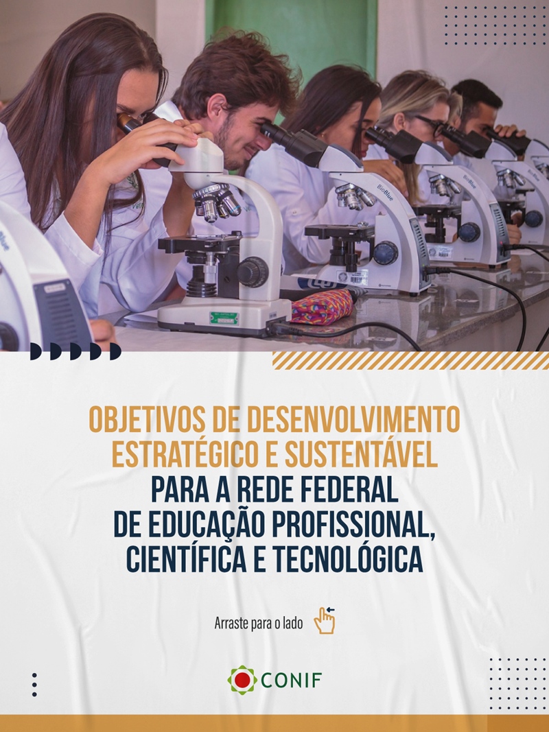 Post Objetivos de Desenvolvimento Estratégico e Sustentável para a Rede Federal de Educação Profissional Científica e Tecnológica 1