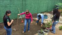 Outras_fotos_03