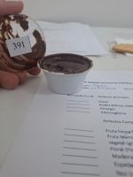 avalia_cacau_concurso_5