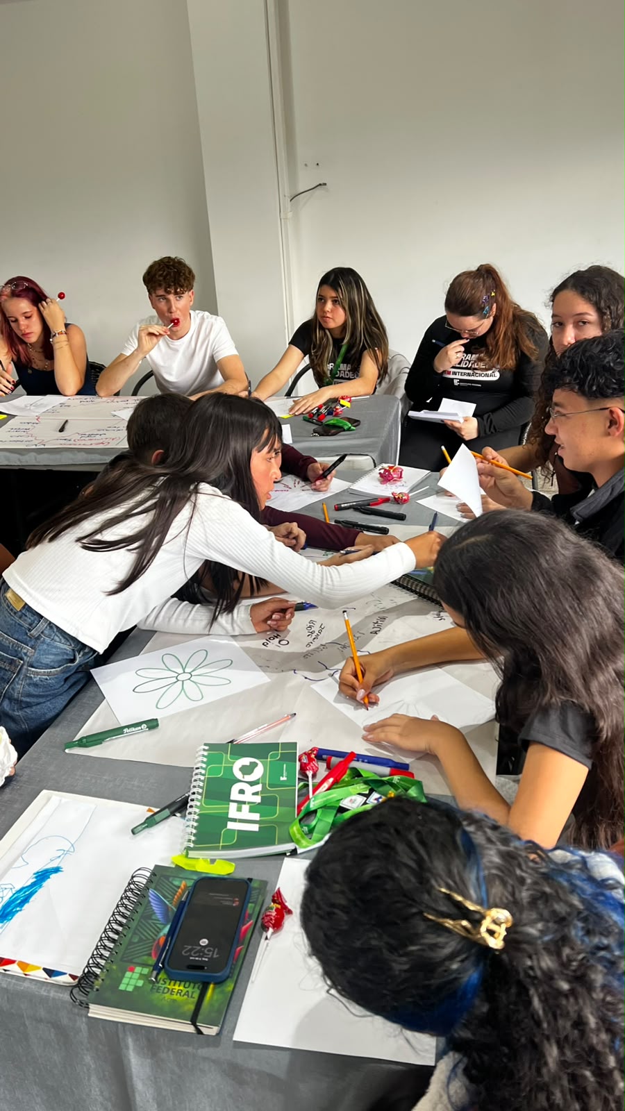 stem internacional colombia 2
