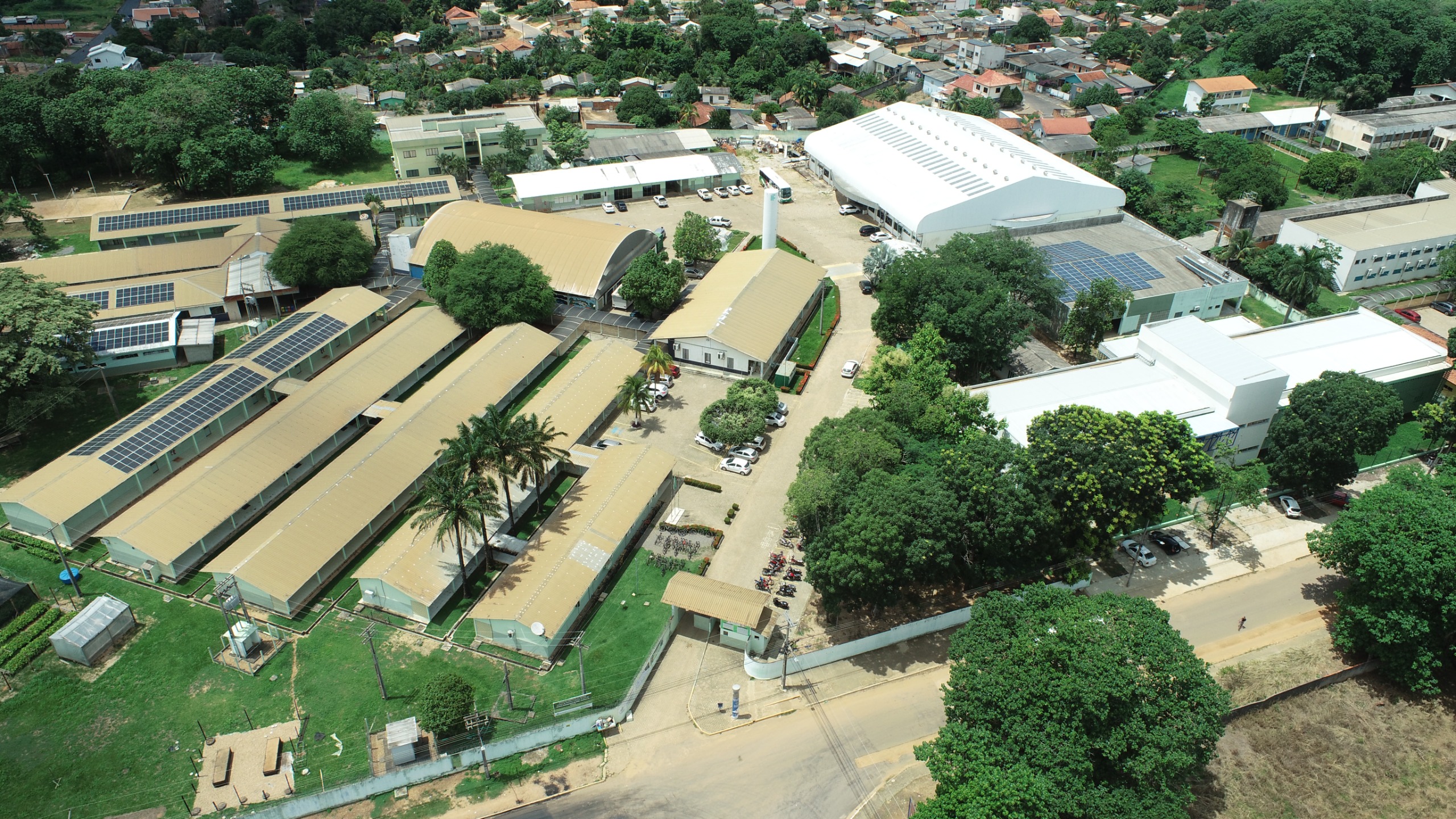 IFRO Campus Ji-Paraná abre 80 vagas para o Ensino Médio Integrado ao Técnico em Florestas